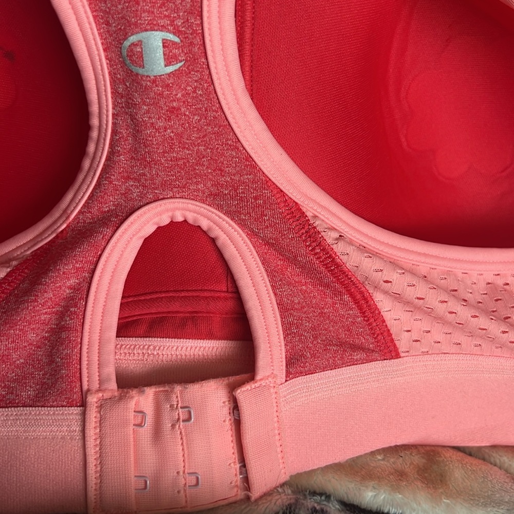 Pink Women's Sports Bra - Picture 3 of 3
